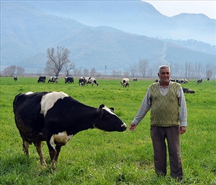 En mutlu süt üreticileri İzmir’de