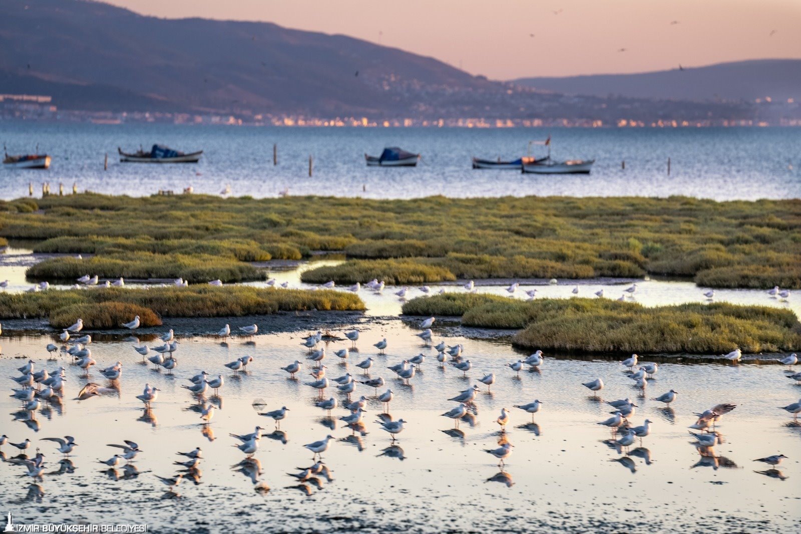 İzmir ve Lubliyana kuraklığa karşı güçlerini birleştirecek