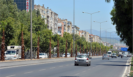 Büyükşehir, Ankara Caddesi’ne 250 palmiye dikiyor