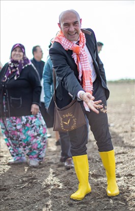 Başkan Soyer 5 Kasım 2019'da Menemen'de Karakılçık tohumlarını ekerken.
