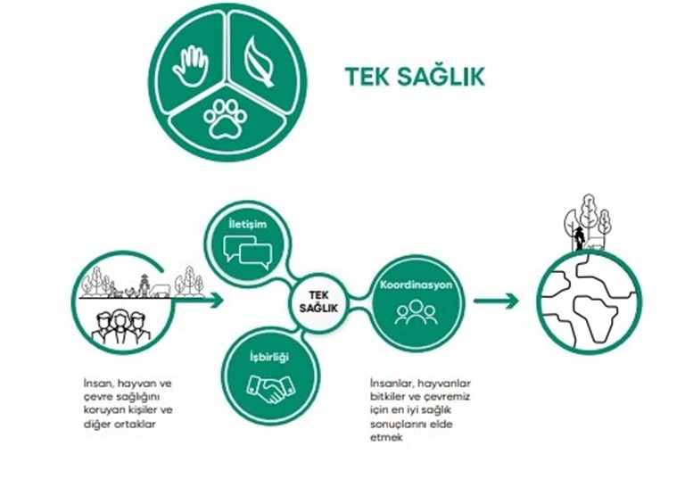 Izmir Metropolitan Municipality Advanced Age Izmir Action Plan